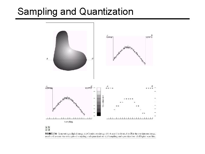 Sampling and Quantization 