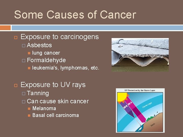 Some Causes of Cancer Exposure to carcinogens � Asbestos lung cancer � Formaldehyde leukemia's,