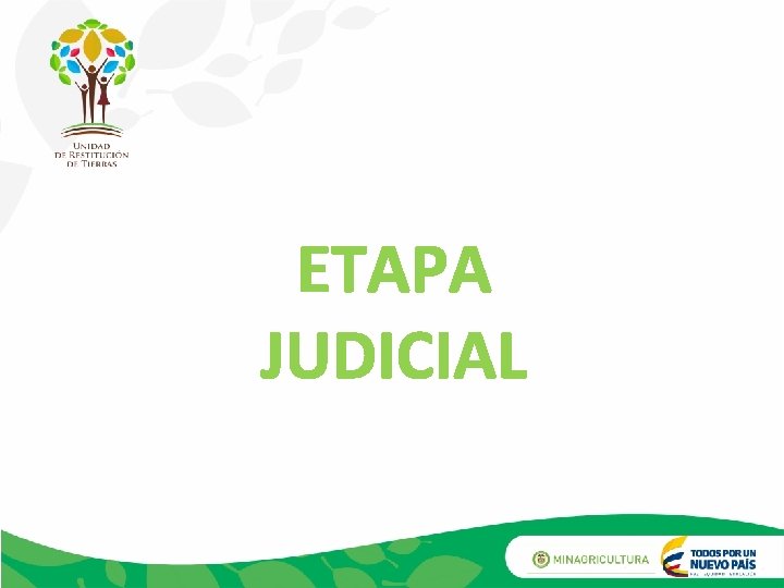 ETAPA JUDICIAL 
