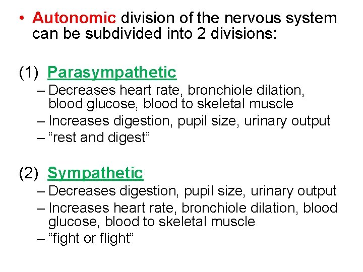  • Autonomic division of the nervous system can be subdivided into 2 divisions: