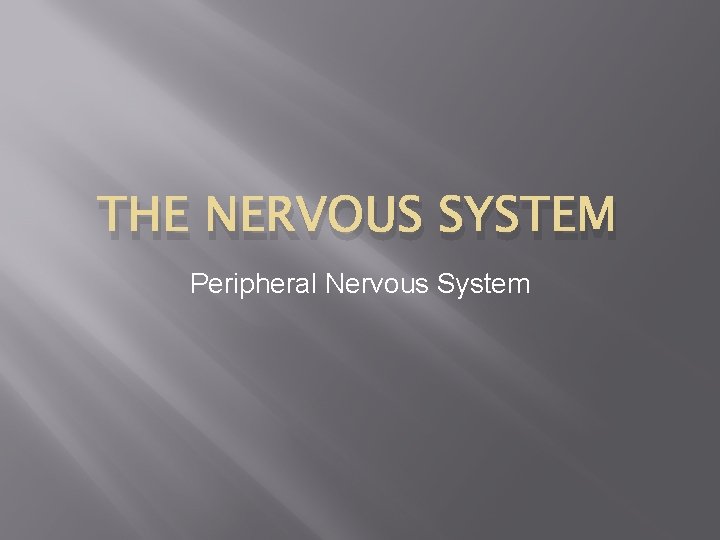 THE NERVOUS SYSTEM Peripheral Nervous System 