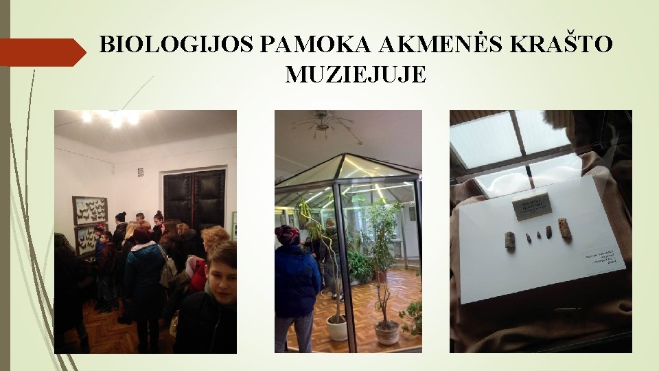 BIOLOGIJOS PAMOKA AKMENĖS KRAŠTO MUZIEJUJE 