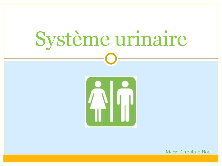 Système urinaire Marie-Christine Noël 