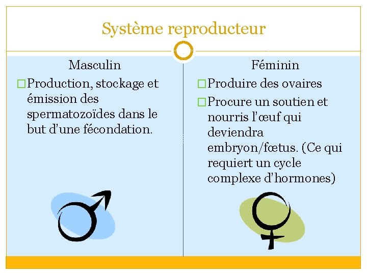 Système reproducteur Masculin �Production, stockage et émission des spermatozoïdes dans le but d’une fécondation.