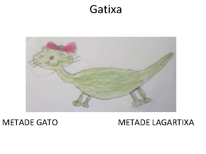 Gatixa METADE GATO METADE LAGARTIXA 