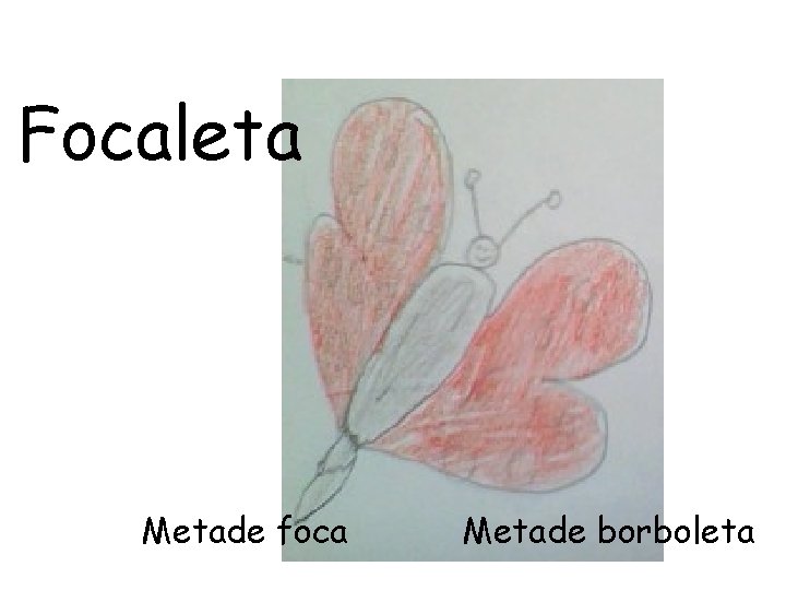 Focaleta Metade foca Metade borboleta 