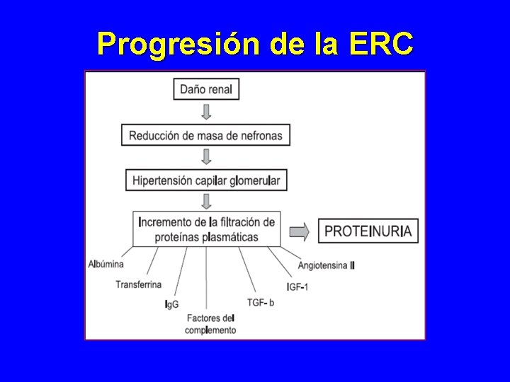 Progresión de la ERC Progresión de la ERC