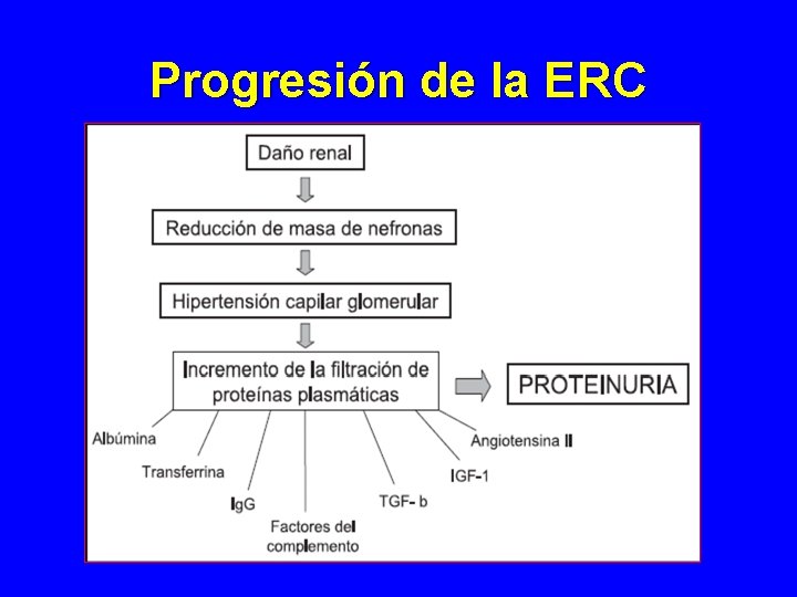 Progresión de la ERC Progresión de la ERC