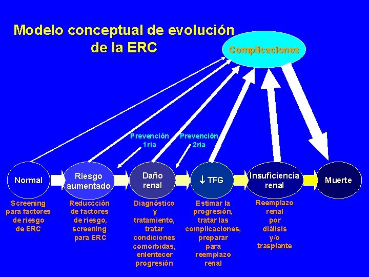 Modelo conceptual de evolución de la ERC Complicaciones Prevenciòn 1 ria Normal Screening para Modelo conceptual de evolución de la ERC Complicaciones Prevenciòn 1 ria Normal Screening para