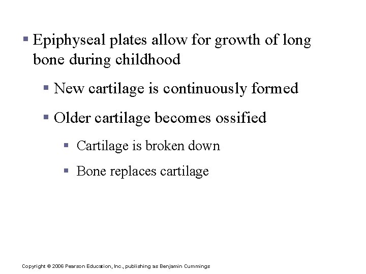 Bone Growth § Epiphyseal plates allow for growth of long bone during childhood §