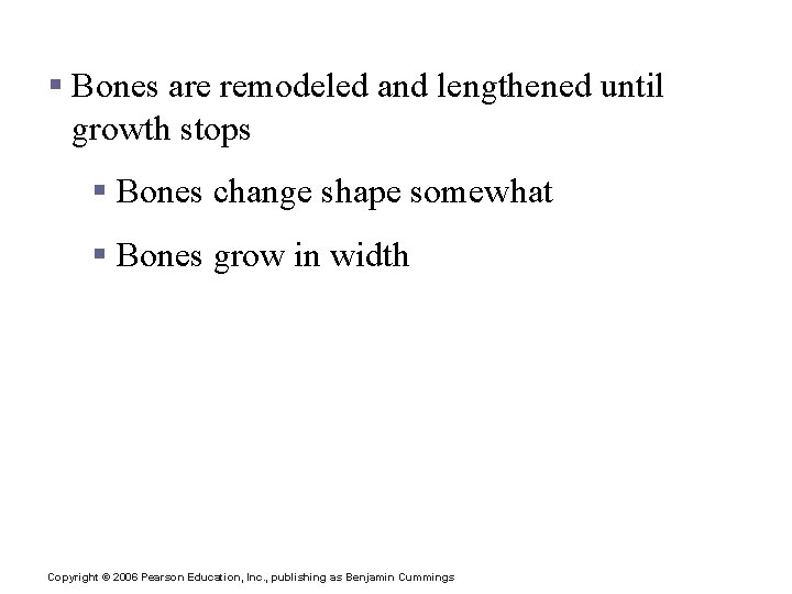 Bone Growth § Bones are remodeled and lengthened until growth stops § Bones change
