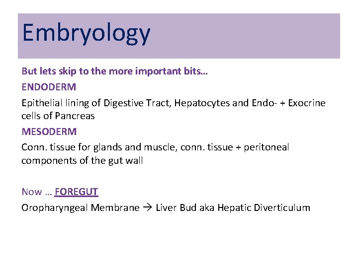 Embryology But lets skip to the more important bits… ENDODERM Epithelial lining of Digestive Embryology But lets skip to the more important bits… ENDODERM Epithelial lining of Digestive