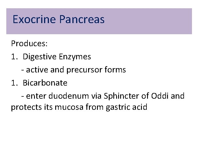 Exocrine Pancreas Produces: 1. Digestive Enzymes - active and precursor forms 1. Bicarbonate - Exocrine Pancreas Produces: 1. Digestive Enzymes - active and precursor forms 1. Bicarbonate -
