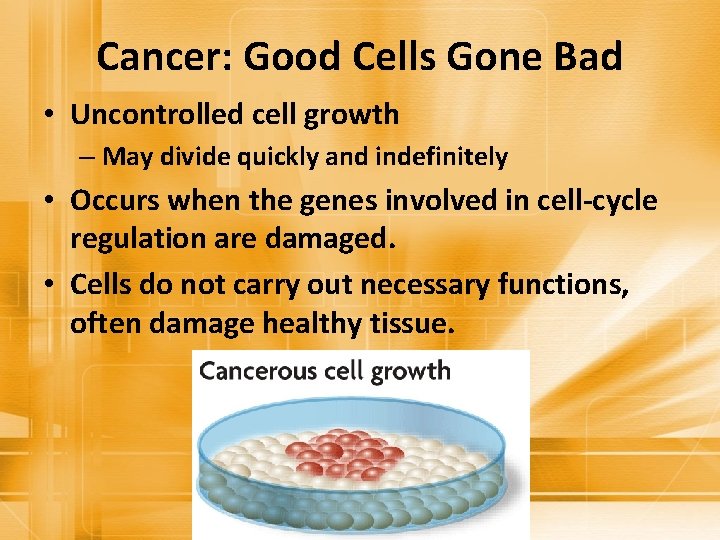 Cancer: Good Cells Gone Bad • Uncontrolled cell growth – May divide quickly and