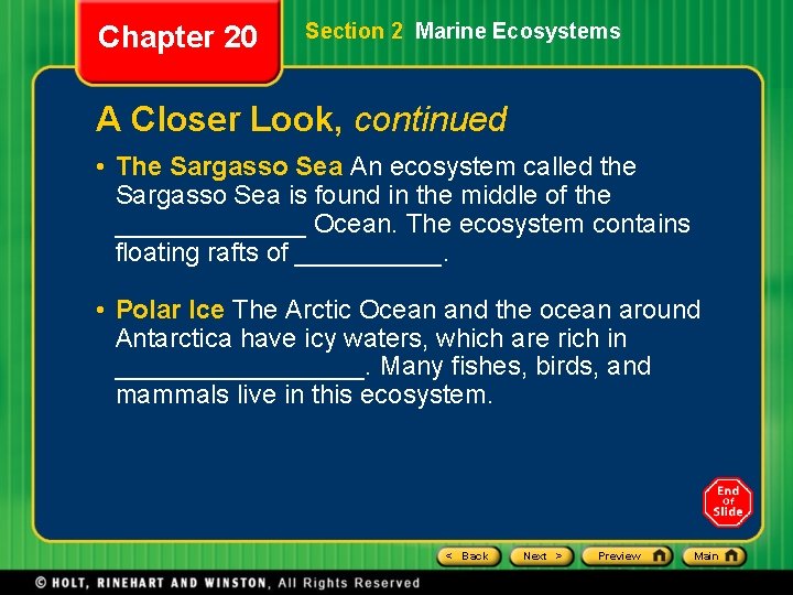 Chapter 20 Section 2 Marine Ecosystems A Closer Look, continued • The Sargasso Sea