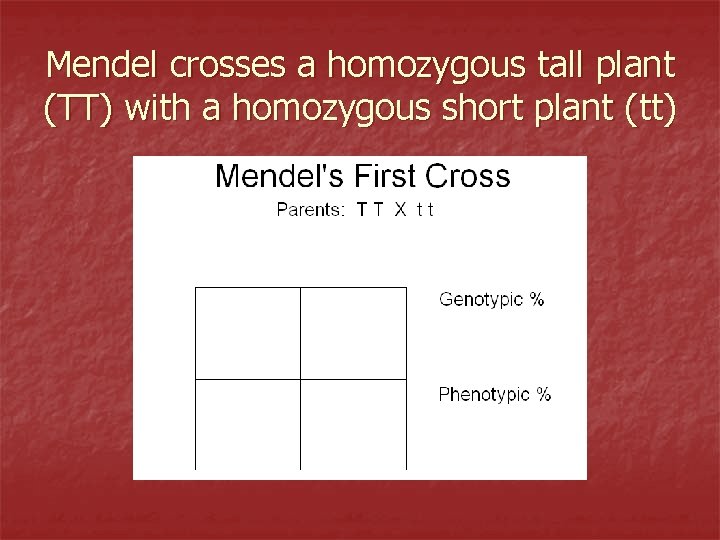 Mendel crosses a homozygous tall plant (TT) with a homozygous short plant (tt) 