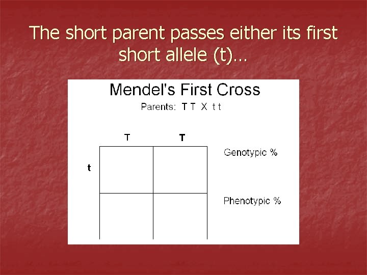 The short parent passes either its first short allele (t)… 