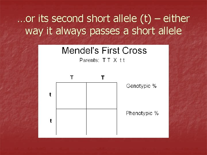 …or its second short allele (t) – either way it always passes a short