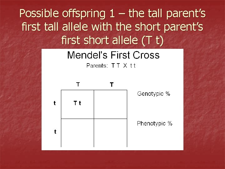 Possible offspring 1 – the tall parent’s first tall allele with the short parent’s