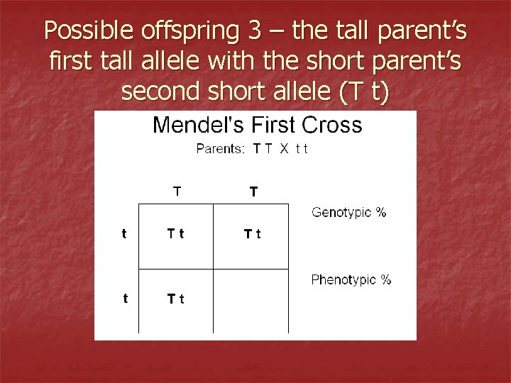 Possible offspring 3 – the tall parent’s first tall allele with the short parent’s