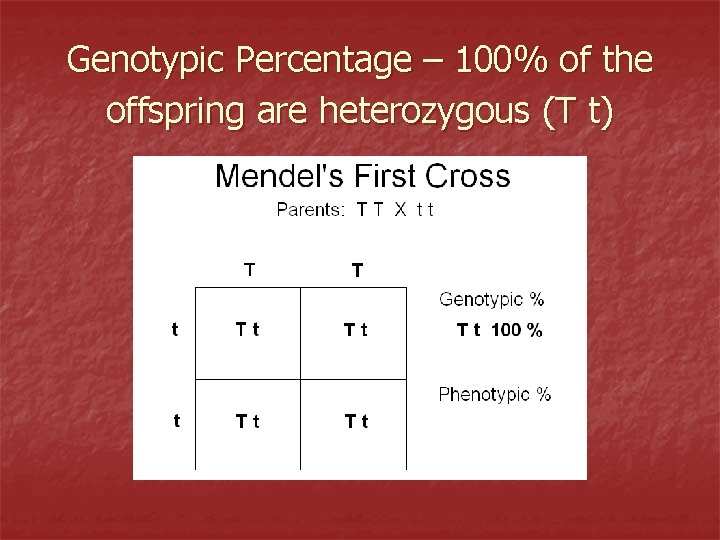 Genotypic Percentage – 100% of the offspring are heterozygous (T t) 