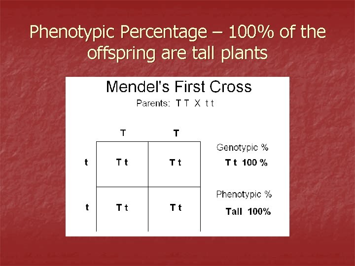 Phenotypic Percentage – 100% of the offspring are tall plants 