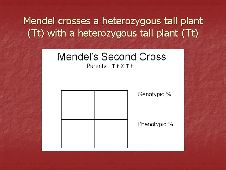 Mendel crosses a heterozygous tall plant (Tt) with a heterozygous tall plant (Tt) 