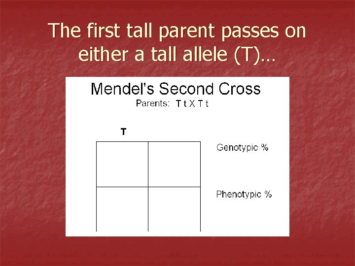 The first tall parent passes on either a tall allele (T)… 