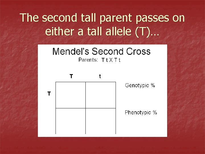 The second tall parent passes on either a tall allele (T)… 
