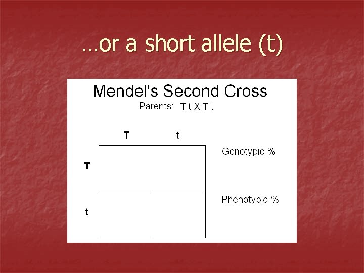 …or a short allele (t) 
