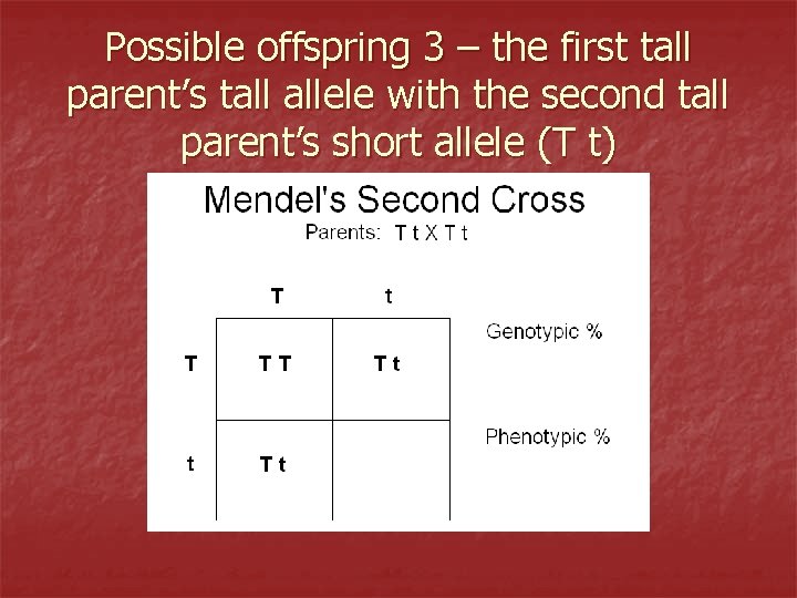 Possible offspring 3 – the first tall parent’s tall allele with the second tall