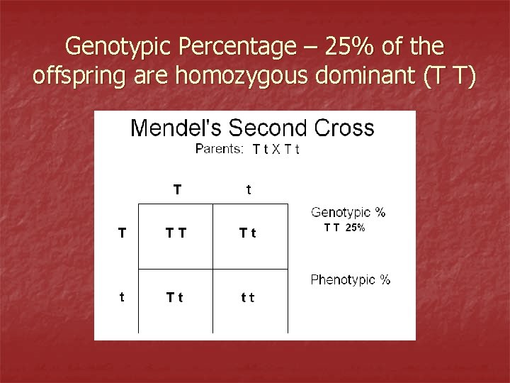 Genotypic Percentage – 25% of the offspring are homozygous dominant (T T) 