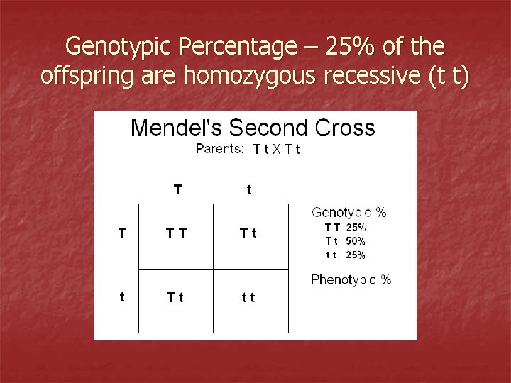 Genotypic Percentage – 25% of the offspring are homozygous recessive (t t) 