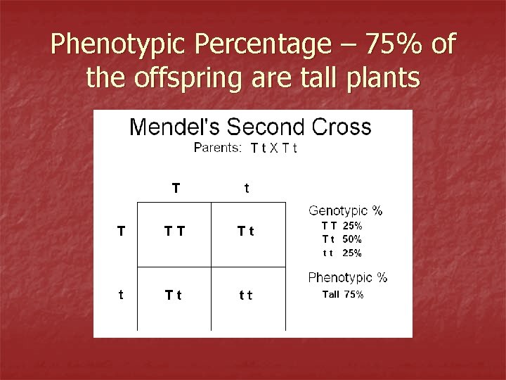 Phenotypic Percentage – 75% of the offspring are tall plants 