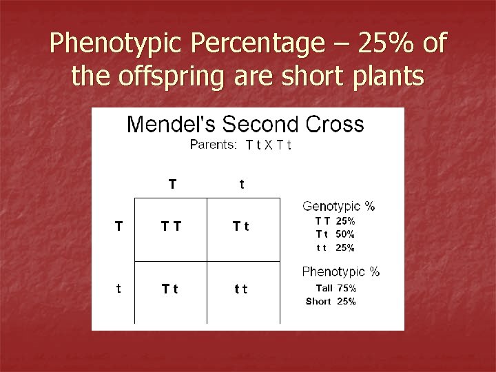 Phenotypic Percentage – 25% of the offspring are short plants 
