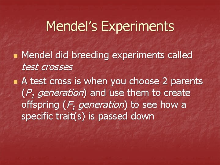 Mendel’s Experiments n n Mendel did breeding experiments called test crosses A test cross
