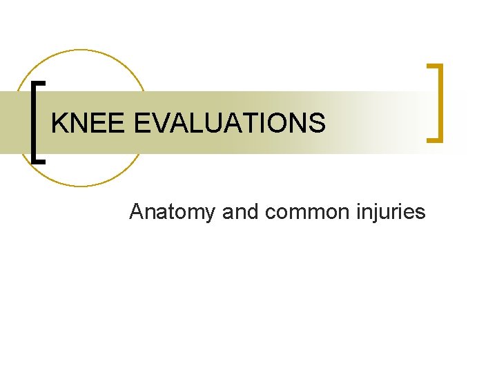 KNEE EVALUATIONS Anatomy and common injuries 