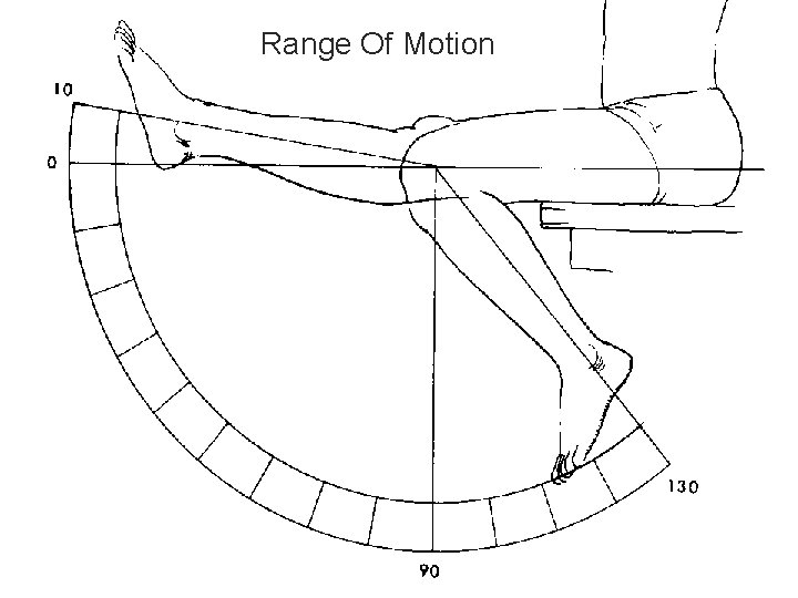 Range Of Motion 