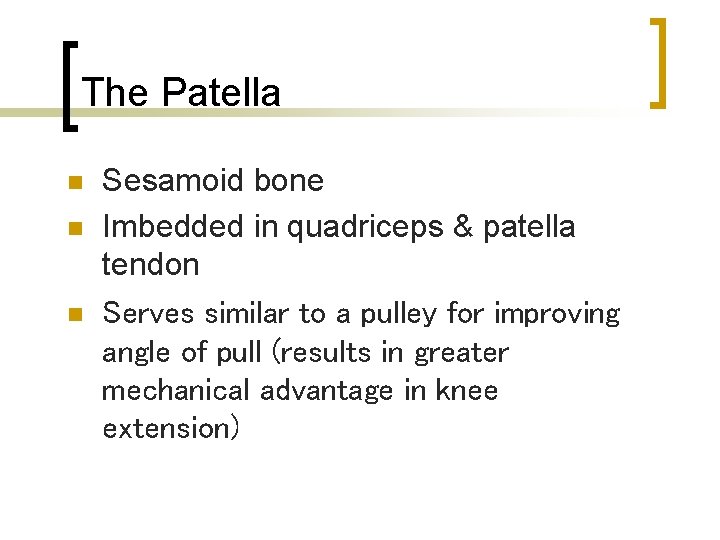 The Patella n n n Sesamoid bone Imbedded in quadriceps & patella tendon Serves