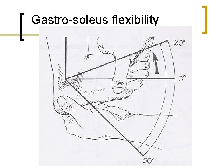 Gastro-soleus flexibility 