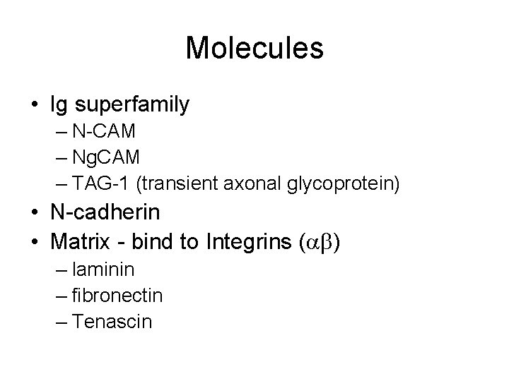 Molecules • Ig superfamily – N-CAM – Ng. CAM – TAG-1 (transient axonal glycoprotein)