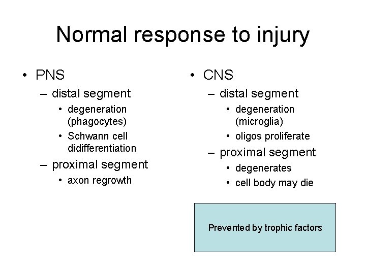 Normal response to injury • PNS – distal segment • degeneration (phagocytes) • Schwann