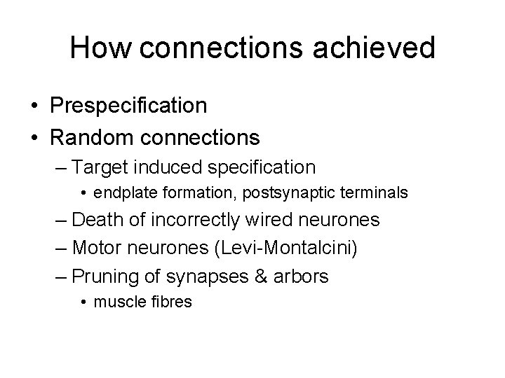 How connections achieved • Prespecification • Random connections – Target induced specification • endplate