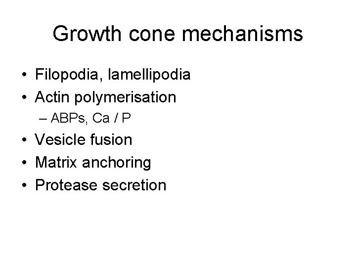 Growth cone mechanisms • Filopodia, lamellipodia • Actin polymerisation – ABPs, Ca / P