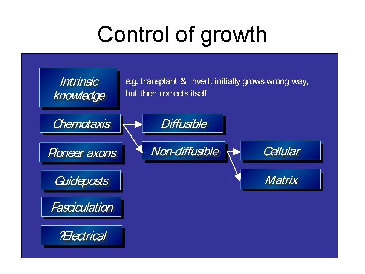 Control of growth 