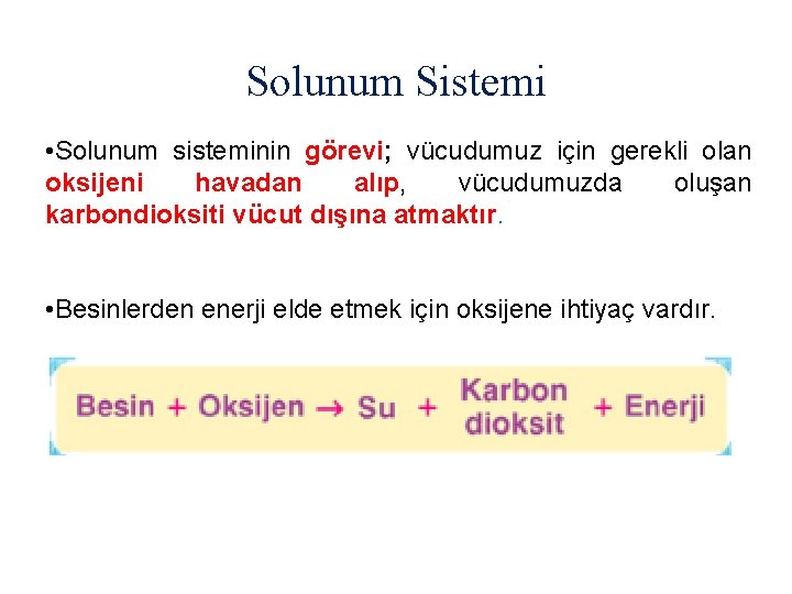 Solunum Sistemi • Solunum sisteminin görevi; vücudumuz için gerekli olan oksijeni havadan alıp, vücudumuzda