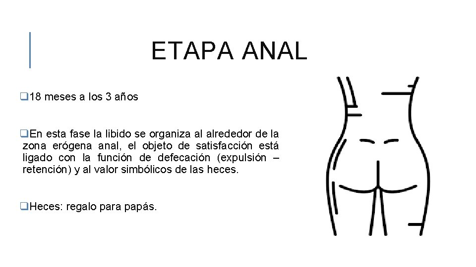 ETAPA ANAL q 18 meses a los 3 años q. En esta fase la