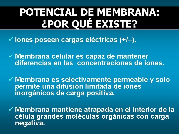 POTENCIAL DE MEMBRANA: ¿POR QUÉ EXISTE? ü Iones poseen cargas eléctricas (+/–). ü Membrana