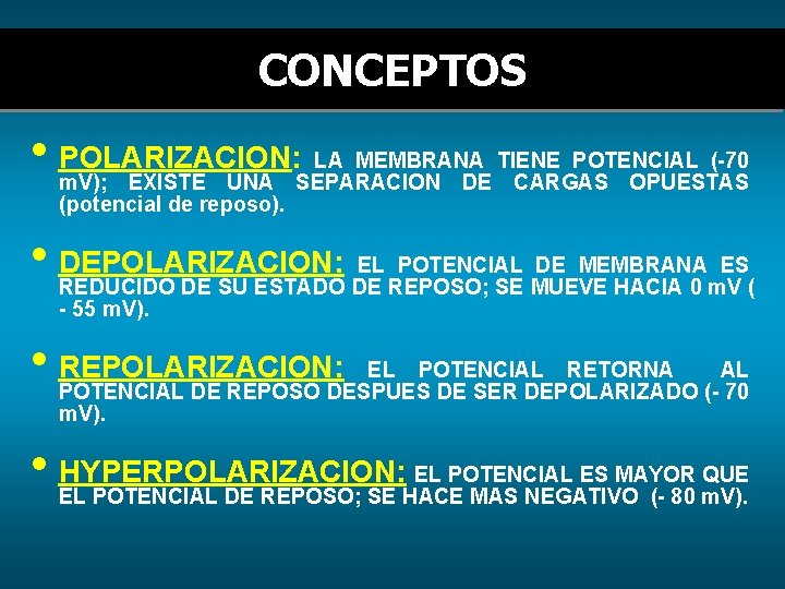 CONCEPTOS • POLARIZACION: LA MEMBRANA TIENE POTENCIAL (-70 m. V); EXISTE UNA SEPARACION DE