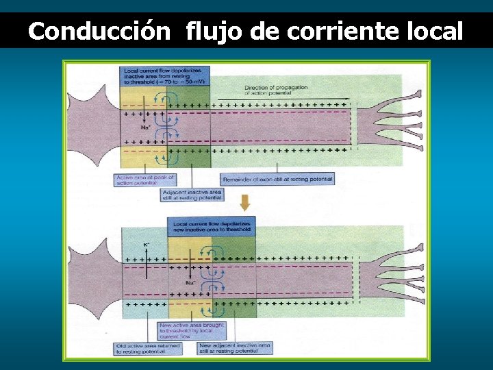 Conducción flujo de corriente local 